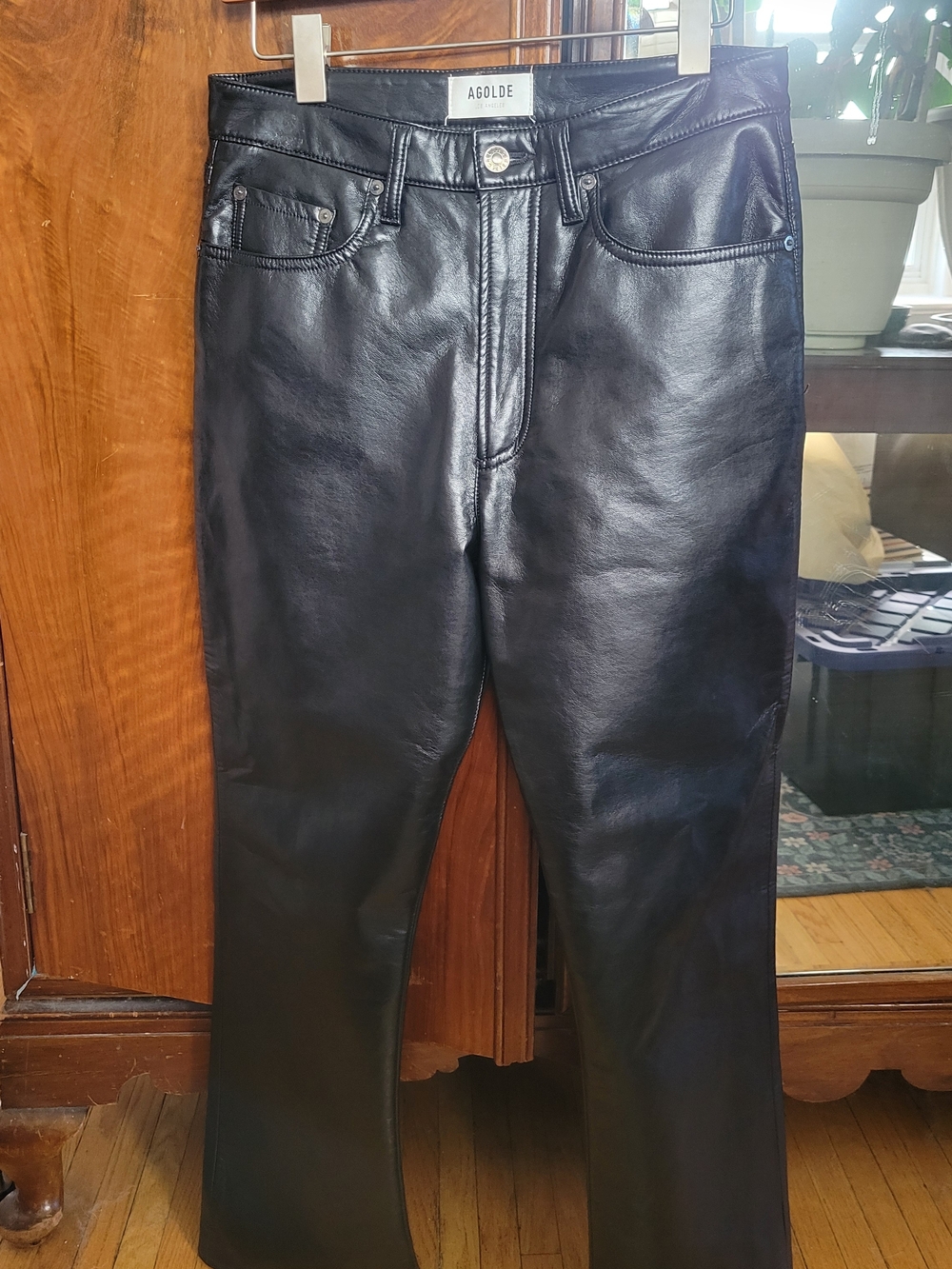 Agolde Leather Pants